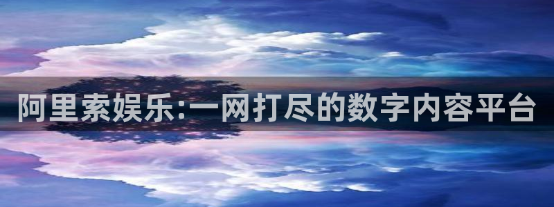 先锋娱乐公司：阿里索娱乐:一网打尽的数字内容平台