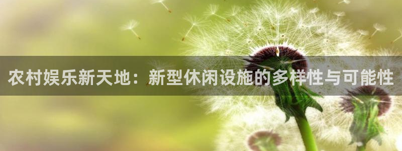 先锋娱乐平台：农村娱乐新天地：新型休闲设施的多样性与可能性