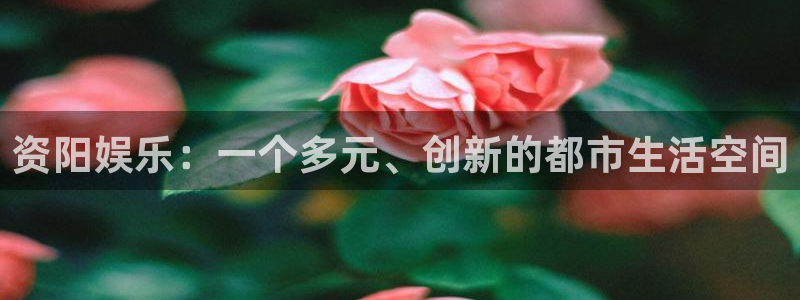先锋娱乐公司：资阳娱乐：一个多元、创新的都市生活空间