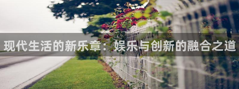 先锋娱乐公司：现代生活的新乐章：娱乐与创新的融合之道