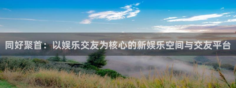 先锋娱乐公司：同好聚首：以娱乐交友为核心的新娱乐空间与交友平台