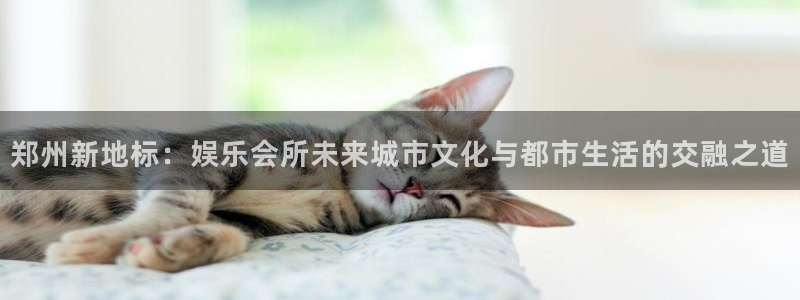 先锋娱乐平台：郑州新地标：娱乐会所未来城市文化与都市生活的交融之道