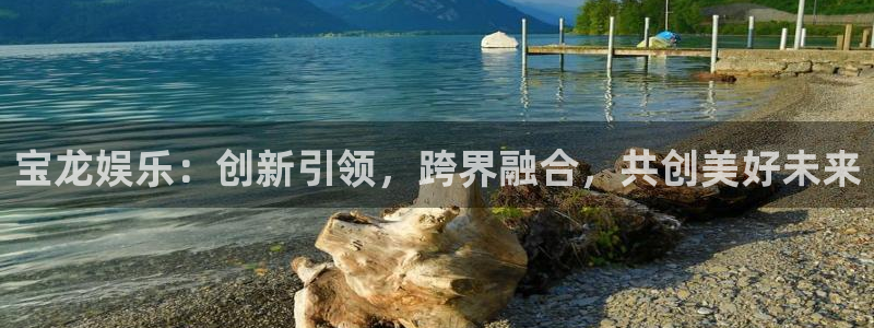 先锋娱乐公司：宝龙娱乐：创新引领，跨界融合，共创美好未来