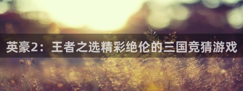 先锋娱乐平台：英豪2：王者之选精彩绝伦的三国竞猜游戏